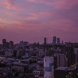 TiffanyTatumAv无码
